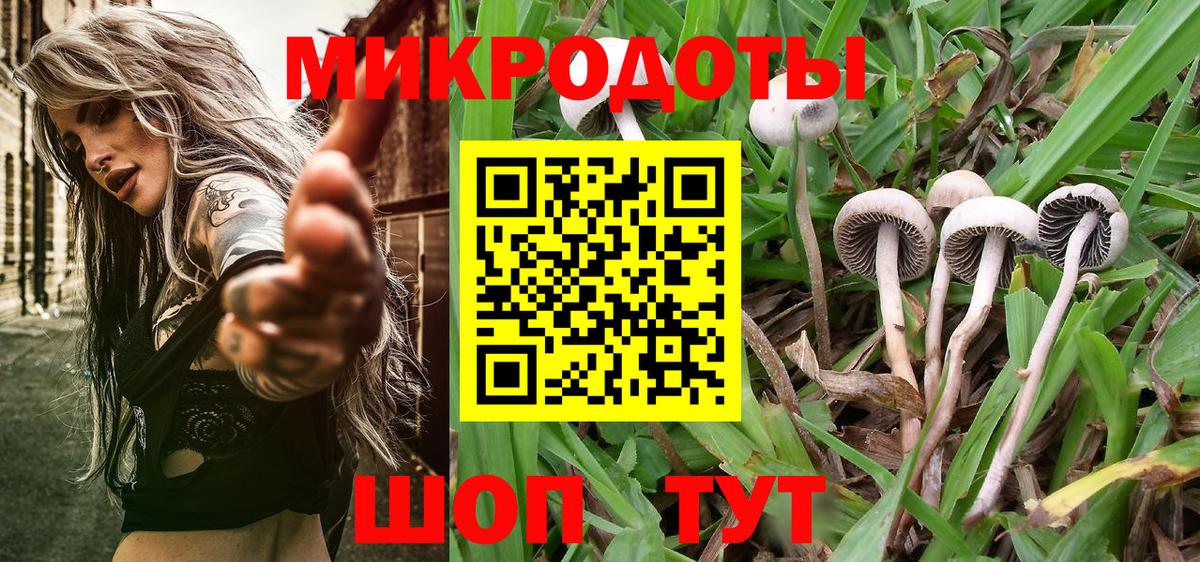 купить  цена  Вход с VPN  Казань  Псилоцибиновые грибы Magic Shrooms 
